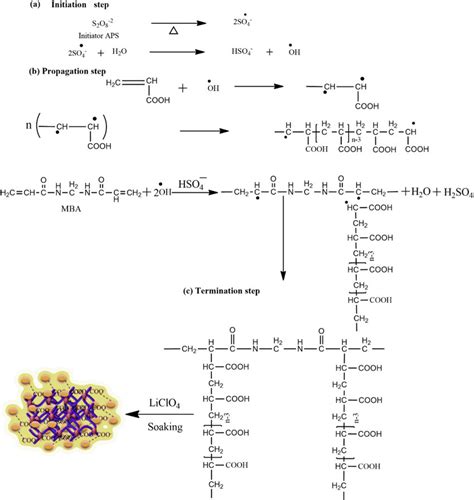 The reaction mechanism of poly (acrylic acid) hydrogel. | Download Scientific Diagram