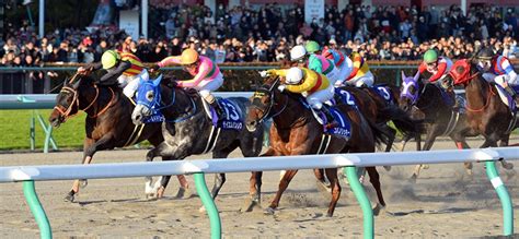 チャンピオンズカップ 2020【予想】2強では決まらない！クリソベリル Vs カフェファラオ！「あの超大穴」が牙を剥く！ 競馬予想