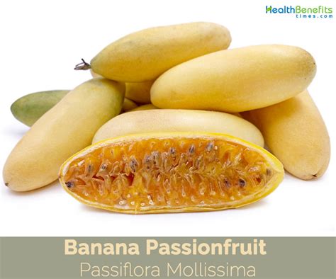 Banana Passionfruit facts and health benefits