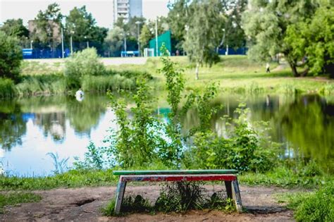 Premium Photo Gazebo By Lake In Park