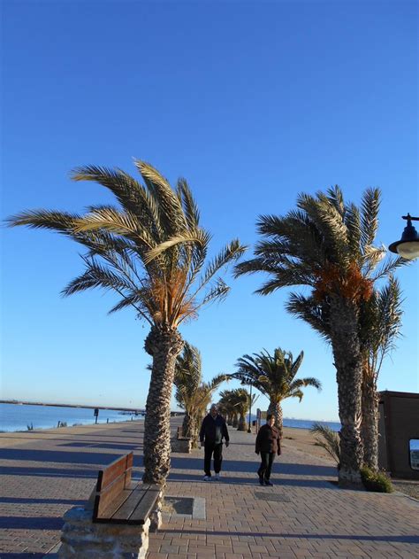 Lo Pagán Murcia Qué Ver En Murcia