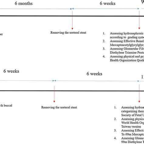 Surgical Steps Of Ureteroplasty With Buccal Mucosa Onlay A Diseased