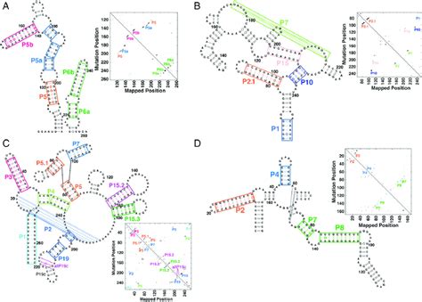 M2 Seq Recovers Helices Across Diverse Rna Folds Each Panel Shows Download Scientific Diagram