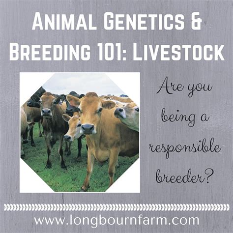 Animal genetics and breeding livestock – Artofit