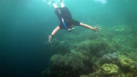 Keindahan Surga Bawah Laut Di Wakatobi Foto Tempo Co