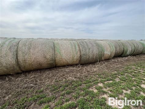 Alfalfa Round Bales 2nd Cutting BigIron Auctions