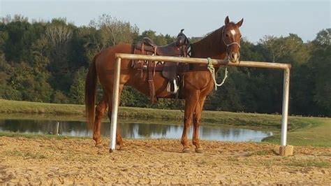 167 Best Horse Tie Rails And Patience Poles Images On Pinterest