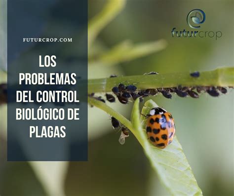 Los Problemas Del Control Biológico De Plagas Futurcrop