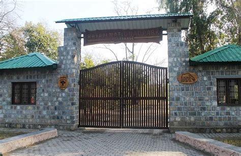 Rajaji National Park/Tiger Reserve Safari - All You Need to Know BEFORE ...