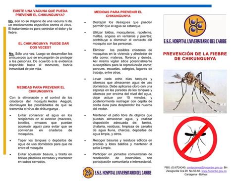 Chikungunya 20 20 Folleto PPT