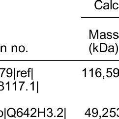 Protein Identification by MALDI-TOF-MS/MS | Download Table