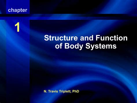 1 Structure And Function Of Body Systems Structure And Function Of The