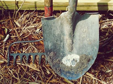 Ways To Prevent Rust While Storing Your Garden Tools For Winter Off