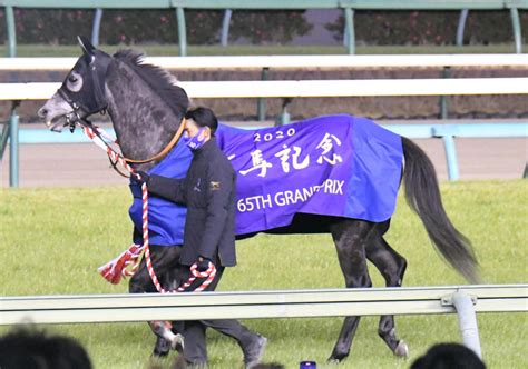 G1・4勝の名牝クロノジェネシスが初子出産、父エピファネイアの牡馬 競馬写真ニュース 日刊スポーツ