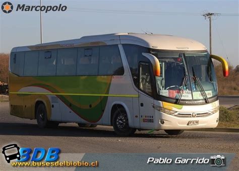 Marcopolo Viaggio G Mercedes Benz Oc Rf Jordan Mercedes