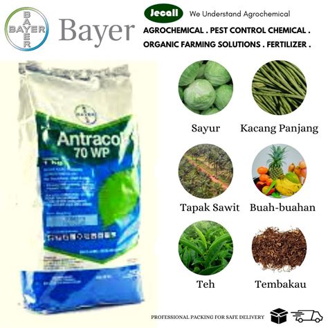 Bayer Antracol Wp Kg Propineb Racun Kulat Karat Daun