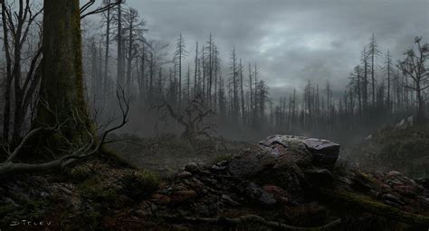 Dark land by Jan Ditlev : r/ImaginaryForests