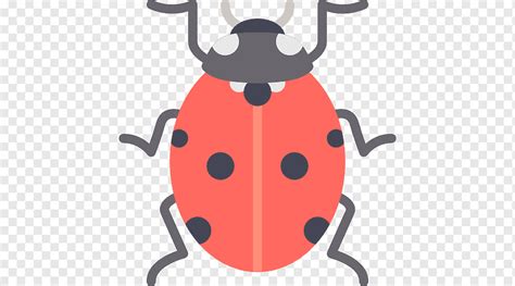 Ladybird Beetle Computer Icons Mariquita Organism Membrane Winged