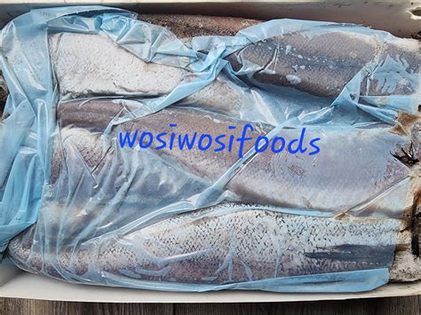 Fresh Whitinghake Frozen Fish Etsy