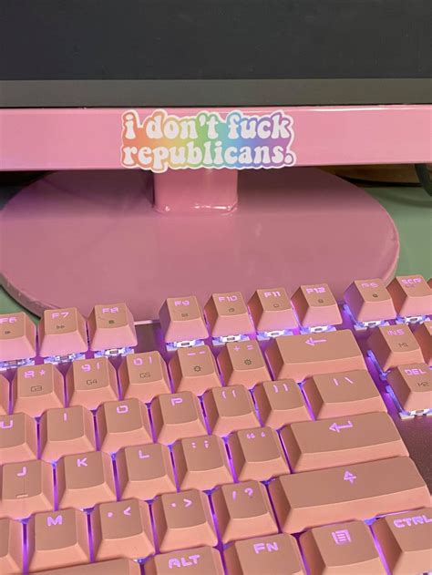 I Don T Fuck Republicans Sticker Democrat Sticker Etsy