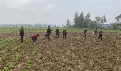 抢抓农时 持续督导，全面推进秋播秋种汉中市农业农村局