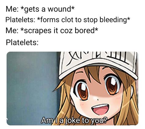 don't disappoint them little platelets! : r/Animemes