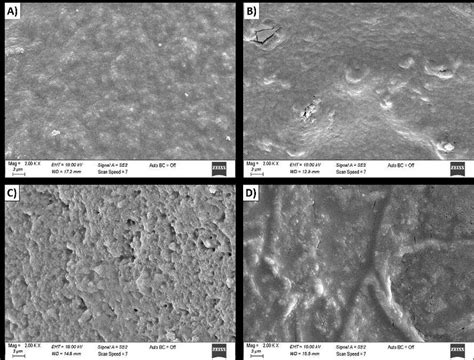 Sem Micrographs Of The Hydrogels A Ppa B Ppab C Ppal And D