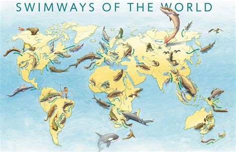 How can you help migratory fish? Think global, act local. – World Fish ...