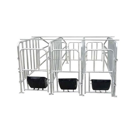 Hot Sales Pig Farming Equipments Accessories For Gestation Pen