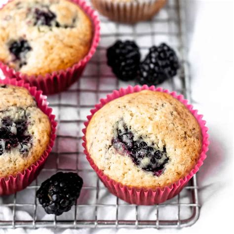 Blackberry Muffins - Delicious Little Bites