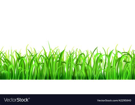 Green Grass Royalty Free Vector Image Vectorstock