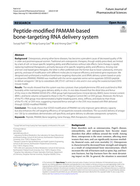 PDF Peptide Modified PAMAM Based Bone Targeting RNA Delivery System