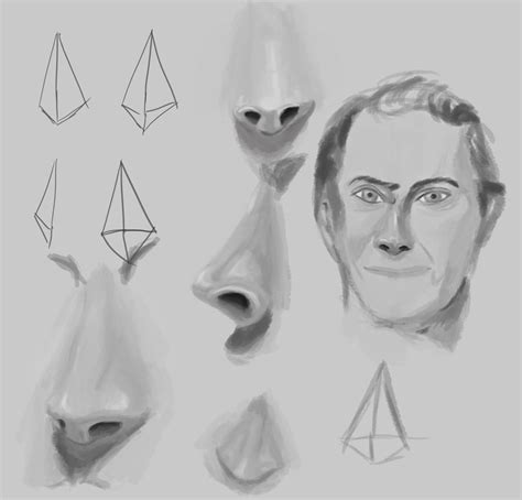 Noses Study By Nirvana4me On Deviantart