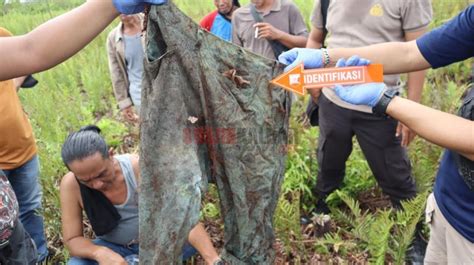 Geger Tengkorak Manusia Tergeletak Di Lahan Warga Sungai Kakap Polisi