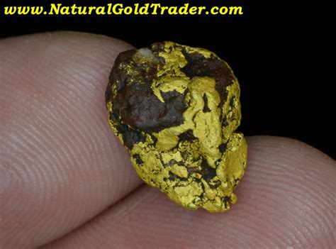 354 Gram Coloma California Gold And Quartz Nugget
