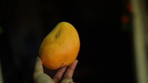 Does Mango Help Acne