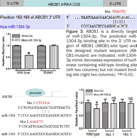 Figure From Dysregulation Of Mir P In Hippocampus And Serum Of