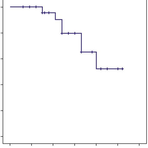 Kaplan Meier Survival Curves Illustrating The Overall Survival Months