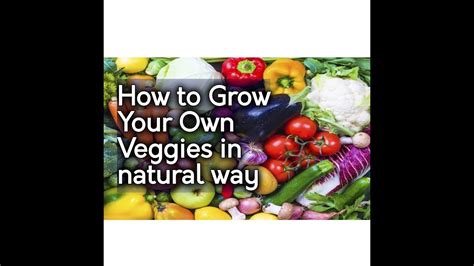 How To Grow Your Own Veggies In Zero Cost Youtube