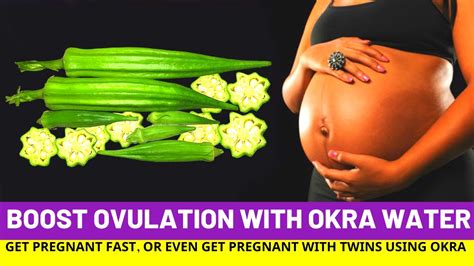 Okra Water For Ovulation How To Boost Ovulation And Get Pregnant