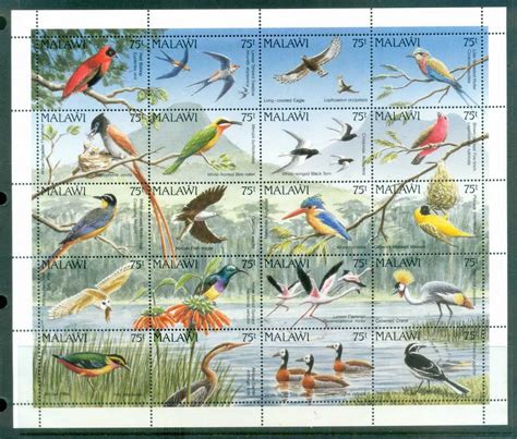 Malawi 1992 Birds sheetlet MUH | Postage stamp art, Pet birds, Nature birds