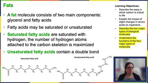 Openstax Concepts Of Biology Chapter 2 3 Part 3 Youtube