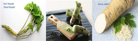 The Difference Between Real Wasabi And Horseradish