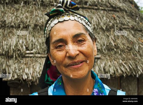 Native Woman Of The Mapuche Tribe Chile Stock Photo Alamy