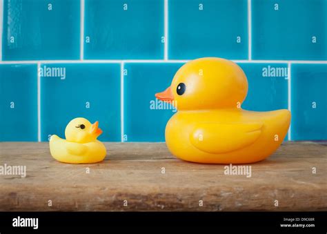 Two rubber ducks Stock Photo - Alamy