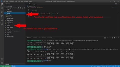 Cse 232 Introduction To Programming Ii Vscode Setup Windows