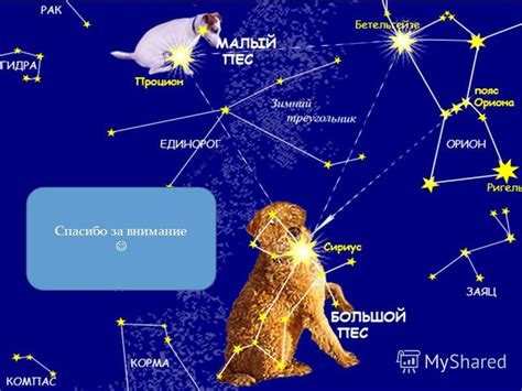 Презентация на тему: "О СОЗВЕЗДИЕ «БОЛЬШОЙ ПЁС». Большой Пёс ...