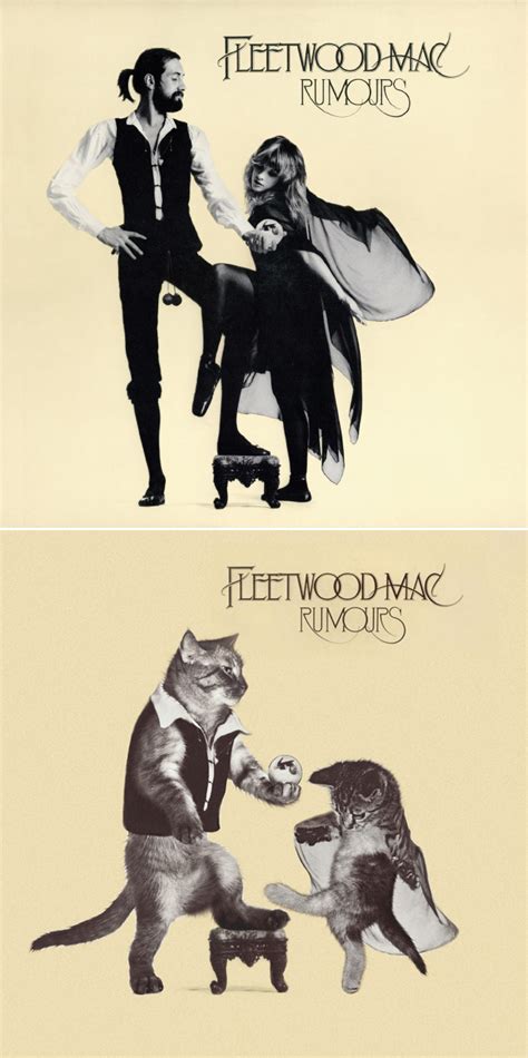 Famous Album Covers Reimagined With Kitten Charm Barnorama