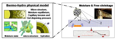 Coupling Of Thermo Hydro Dynamics And Damage Mechanics For Life Cycle