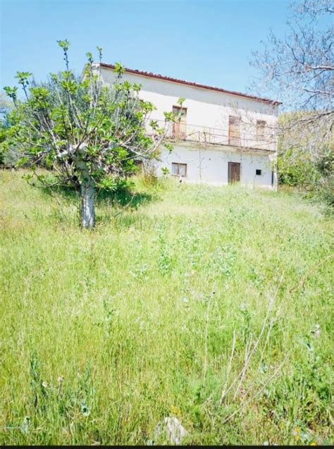 Azienda Agricola Di Tre Ettari In Altomonte Vendita Rustico Casale Da